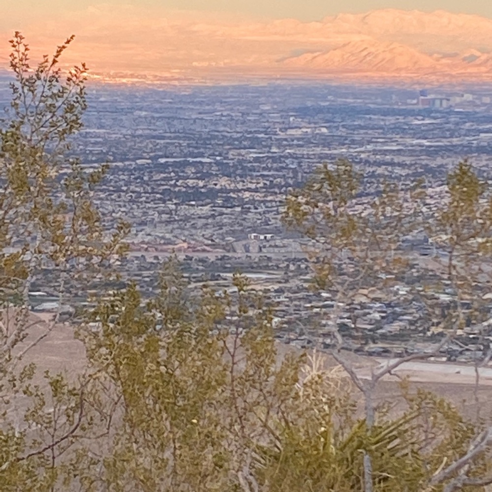 Meet your Posher, Ann marie
